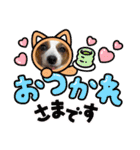 犬好きさんに☆こじももスタンプ（個別スタンプ：3）