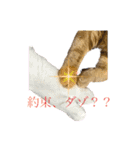 びとて（個別スタンプ：4）