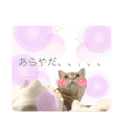びとて（個別スタンプ：10）