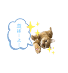 びとて（個別スタンプ：11）