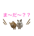 びとて（個別スタンプ：13）