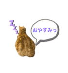 びとて（個別スタンプ：14）