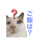 びとて（個別スタンプ：16）