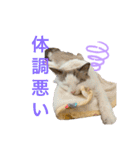 びとて（個別スタンプ：20）