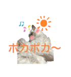 びとて（個別スタンプ：21）