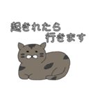 ねことてるてる坊主（個別スタンプ：3）