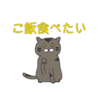 ねことてるてる坊主（個別スタンプ：8）