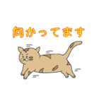 ねことてるてる坊主（個別スタンプ：14）