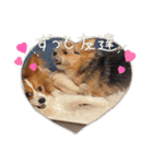 しのぶちゃんとすずちゃんの日常（個別スタンプ：14）
