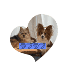 しのぶちゃんとすずちゃんの日常（個別スタンプ：15）