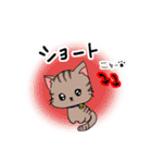 トレーダー猫（個別スタンプ：5）