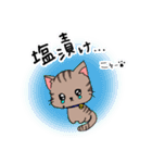 トレーダー猫（個別スタンプ：10）