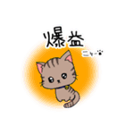 トレーダー猫（個別スタンプ：14）