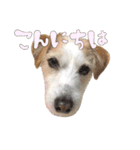 ジャックのあぐちゃん2（個別スタンプ：2）