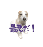 ジャックのあぐちゃん2（個別スタンプ：8）