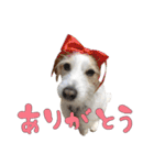 ジャックのあぐちゃん2（個別スタンプ：9）