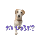 ジャックのあぐちゃん2（個別スタンプ：10）