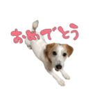 ジャックのあぐちゃん2（個別スタンプ：11）