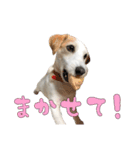 ジャックのあぐちゃん2（個別スタンプ：15）