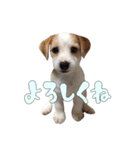 ジャックのあぐちゃん2（個別スタンプ：17）