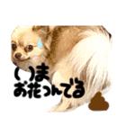 あへきちと愉快なお友達（個別スタンプ：2）