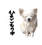 あへきちと愉快なお友達（個別スタンプ：5）
