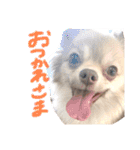 あへきちと愉快なお友達（個別スタンプ：7）