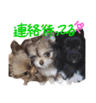 あへきちと愉快なお友達（個別スタンプ：10）