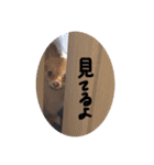 あへきちと愉快なお友達（個別スタンプ：16）