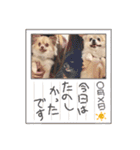 あへきちと愉快なお友達（個別スタンプ：23）