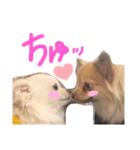あへきちと愉快なお友達（個別スタンプ：31）