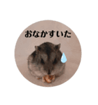 こまちのすたんぷ①（個別スタンプ：2）