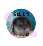 こまちのすたんぷ①（個別スタンプ：3）