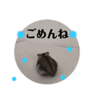 こまちのすたんぷ①（個別スタンプ：4）