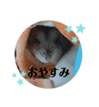こまちのすたんぷ①（個別スタンプ：5）