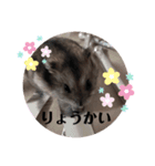 こまちのすたんぷ①（個別スタンプ：6）