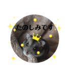 こまちのすたんぷ①（個別スタンプ：8）