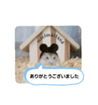 だいたい敬語ハムスタースタンプ。（個別スタンプ：1）