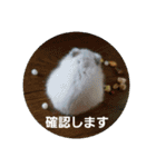 だいたい敬語ハムスタースタンプ。（個別スタンプ：11）