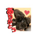 小柳家いっぬ（個別スタンプ：10）