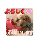 小柳家いっぬ（個別スタンプ：18）