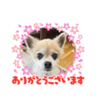 加藤レオくん（個別スタンプ：5）