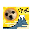 加藤レオくん（個別スタンプ：12）