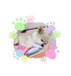 加藤レオくん（個別スタンプ：17）