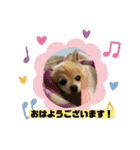 加藤レオくん（個別スタンプ：23）