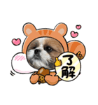 おてんばしーちゃん（個別スタンプ：1）