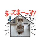 おてんばしーちゃん（個別スタンプ：6）