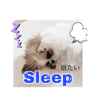おてんばしーちゃん2（個別スタンプ：4）