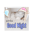 おてんばしーちゃん2（個別スタンプ：6）