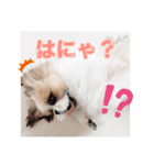 おてんばしーちゃん2（個別スタンプ：7）